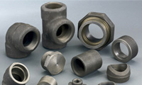 Forged Fittings