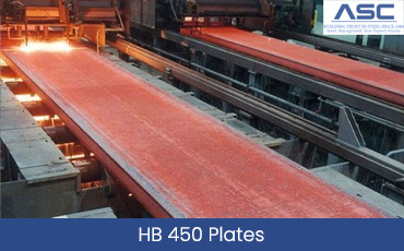 HB 450 Plates